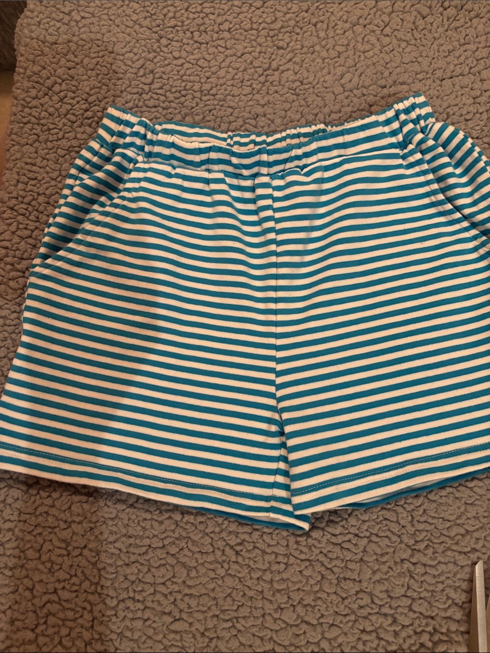 Bisby Striped Blue and White Casual Shorts size 12